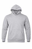 AUSSIE PACIFIC BRUNSWICK MENS HOODIE
